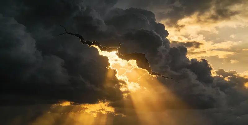 武汉肺癌11基因检测组织版图片1